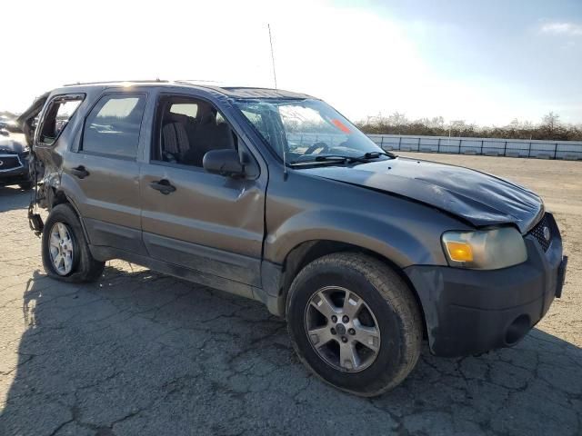 2005 Ford Escape XLT