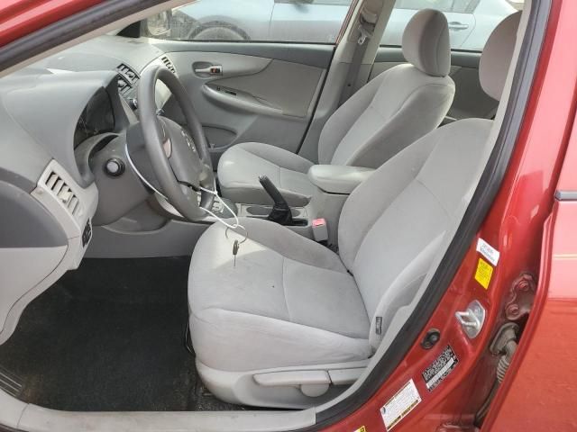 2010 Toyota Corolla Base