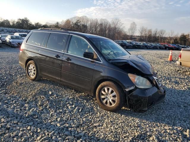 2008 Honda Odyssey EXL