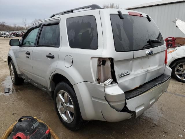 2009 Ford Escape XLT