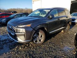 Salvage cars for sale at Windsor, NJ auction: 2023 Hyundai Santa FE SEL Premium