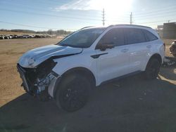 Salvage cars for sale at Colorado Springs, CO auction: 2023 KIA Sorento SX