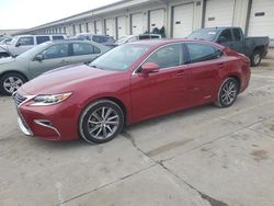 Salvage cars for sale at Louisville, KY auction: 2016 Lexus ES 300H