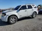 2008 Ford Escape HEV