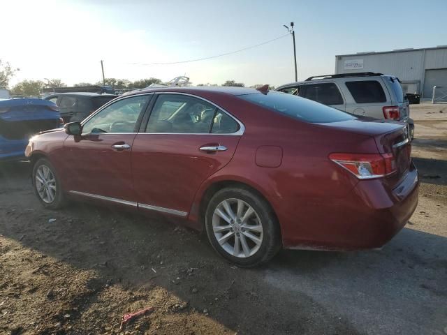 2011 Lexus ES 350