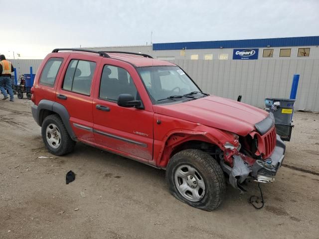 2002 Jeep Liberty Sport