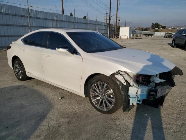 2020 Lexus ES 300H