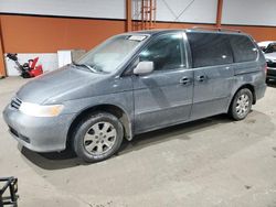 Honda salvage cars for sale: 2003 Honda Odyssey EXL