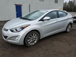 Hyundai salvage cars for sale: 2016 Hyundai Elantra SE