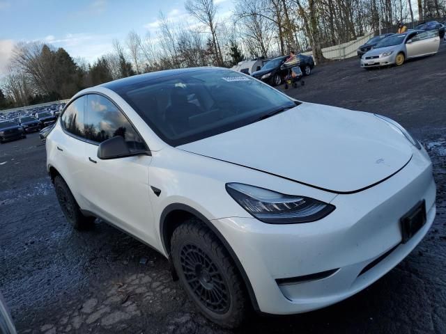 2020 Tesla Model Y