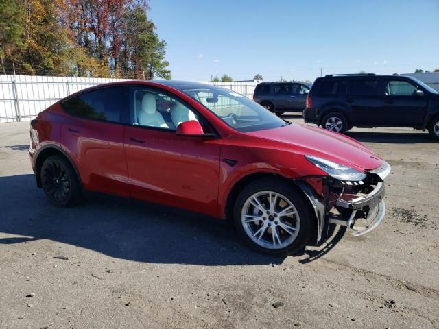 2020 Tesla Model Y