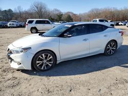 Salvage cars for sale from Copart Conway, AR: 2016 Nissan Maxima 3.5S