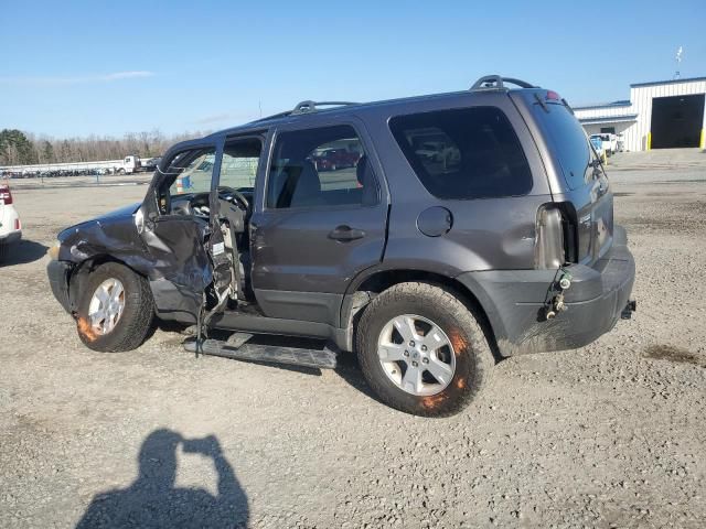 2006 Ford Escape XLT