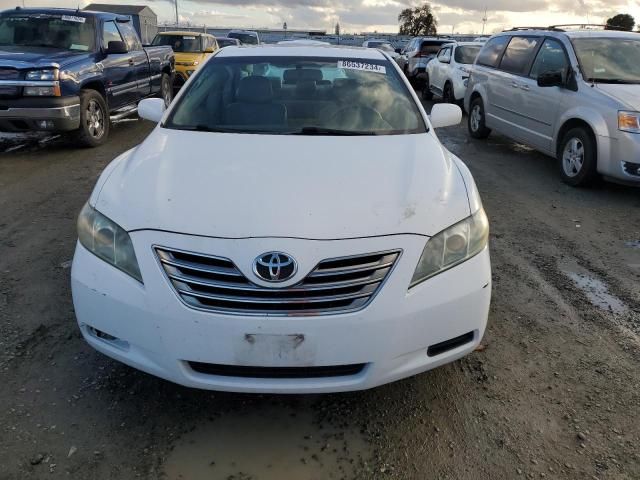 2009 Toyota Camry Hybrid