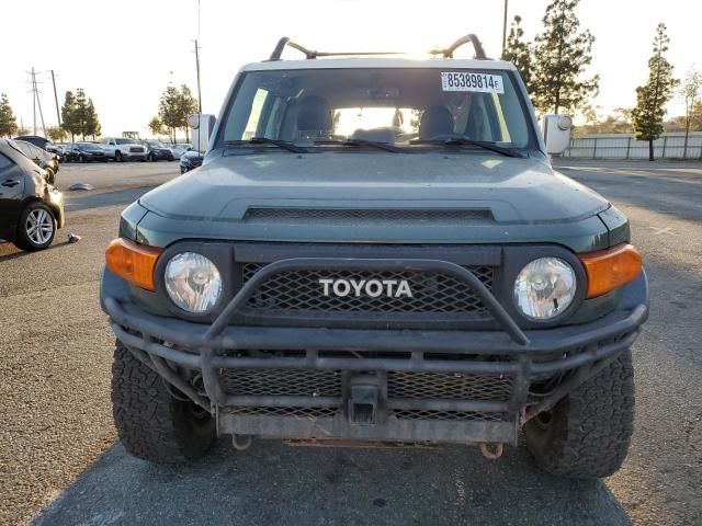 2010 Toyota FJ Cruiser