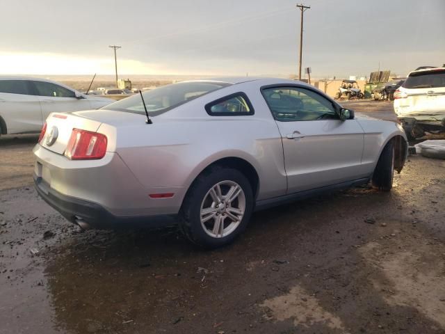 2010 Ford Mustang