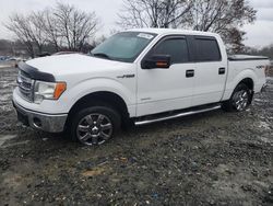 Salvage cars for sale at Baltimore, MD auction: 2014 Ford F150 Supercrew