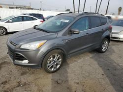 Salvage cars for sale from Copart Rancho Cucamonga, CA: 2013 Ford Escape SEL