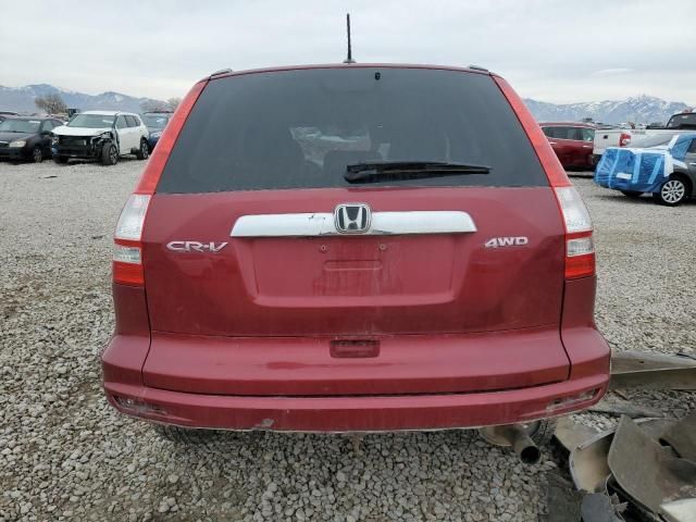 2010 Honda CR-V EXL