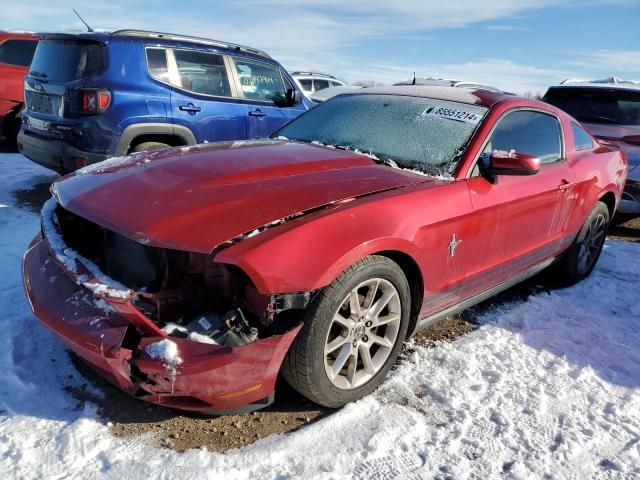 2010 Ford Mustang