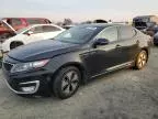 2013 KIA Optima Hybrid