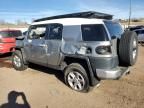 2010 Toyota FJ Cruiser