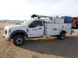 Salvage trucks for sale at Colton, CA auction: 2019 Ford F550 Super Duty