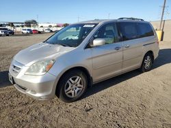 Honda Vehiculos salvage en venta: 2007 Honda Odyssey EXL