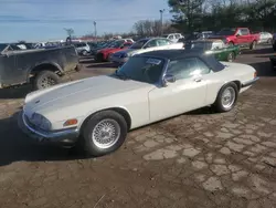 Salvage cars for sale at Lexington, KY auction: 1991 Jaguar XJ-S