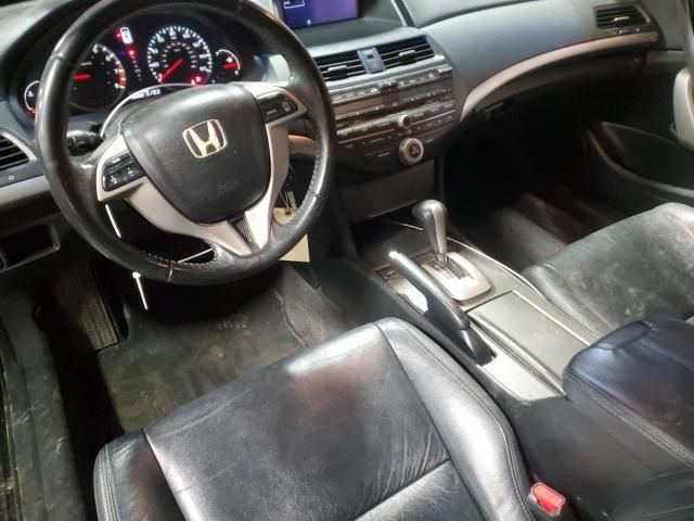 2009 Honda Accord EXL