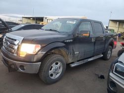 2014 Ford F150 Supercrew en venta en Brighton, CO