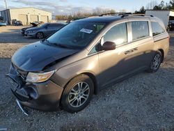 Salvage cars for sale at auction: 2013 Honda Odyssey EXL