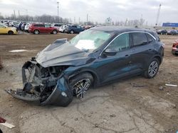 Salvage cars for sale at Woodhaven, MI auction: 2022 Ford Escape SEL