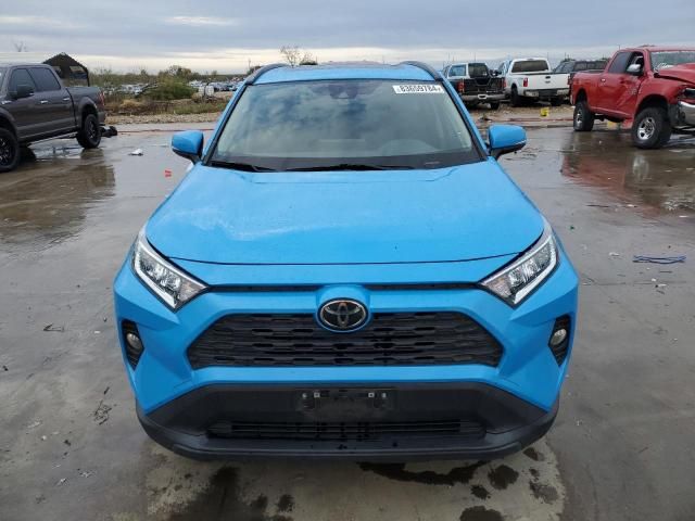 2019 Toyota Rav4 XLE