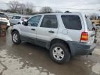 2003 Ford Escape XLT