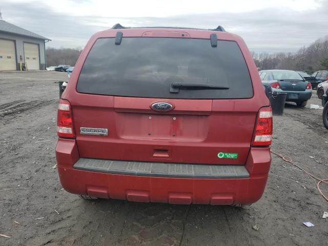 2010 Ford Escape XLT