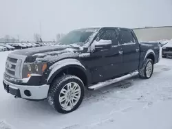 2010 Ford F150 Supercrew en venta en Rocky View County, AB