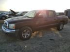 2005 Dodge Dakota Quad SLT