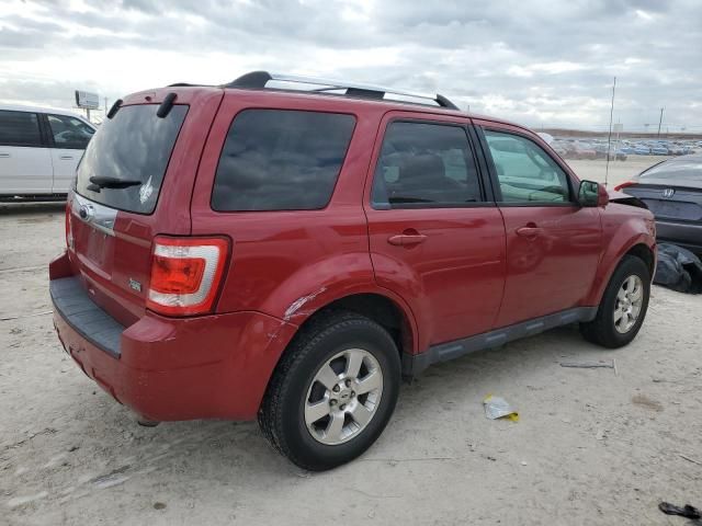 2011 Ford Escape Limited