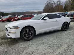 Salvage cars for sale at Concord, NC auction: 2022 Ford Mustang