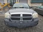 2005 Dodge Dakota Quad SLT