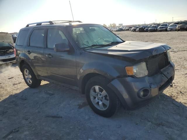 2011 Ford Escape Limited