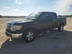 Ford f-150 salvage cars for sale: 2009 Ford F150 Supercrew