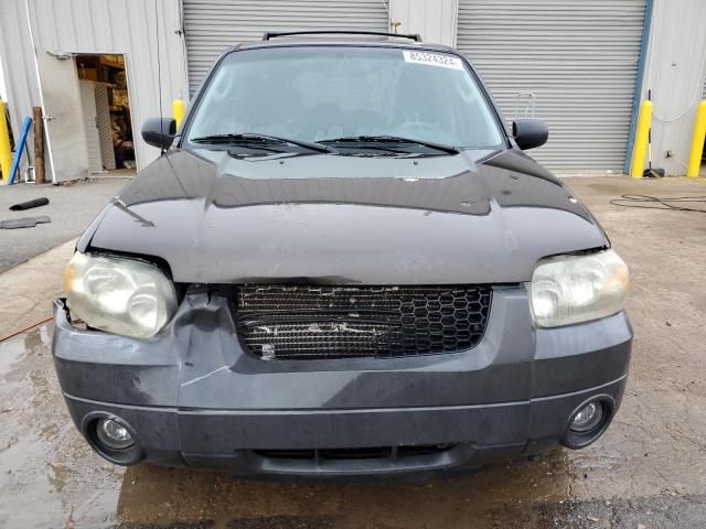 2006 Ford Escape XLT