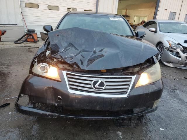 2010 Lexus ES 350