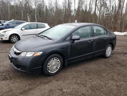 Salvage cars for sale at Cookstown, ON auction: 2009 Honda Civic DX-G