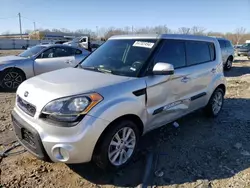 Salvage cars for sale at Louisville, KY auction: 2013 KIA Soul +