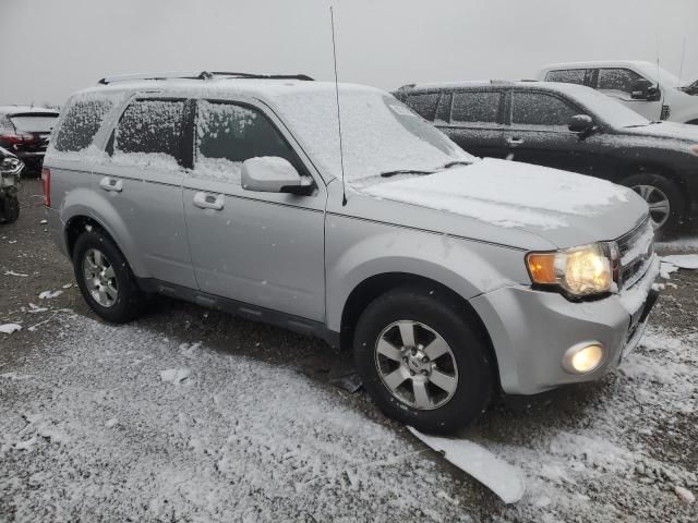 2012 Ford Escape Limited