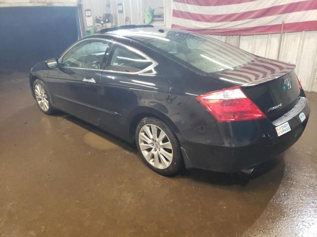 2009 Honda Accord EXL