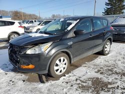 Salvage cars for sale from Copart Ham Lake, MN: 2014 Ford Escape S